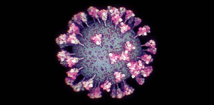 کرونا وائرس کی نئی اقسام کے حوالے سے تشویشناک انکشاف