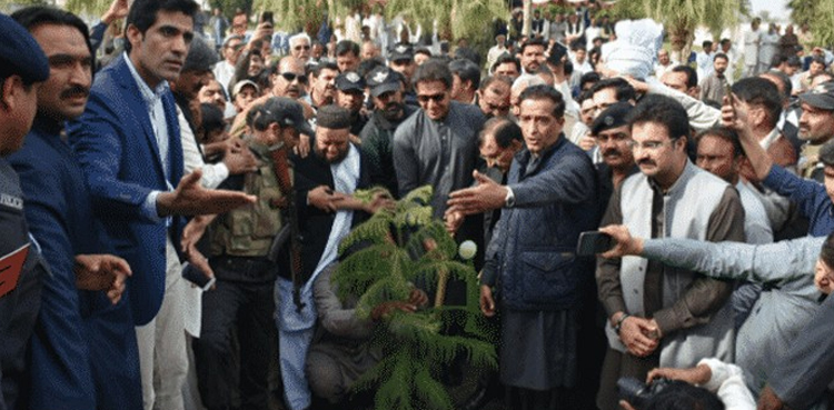 وزیراعظم کا بلین ٹری سونامی منصوبے سے متعلق اہم فیصلہ