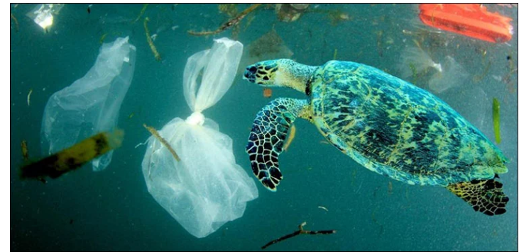 پلاسٹک کے کچرے سے نمٹنے کے لیے ایک اور کامیاب تحقیق